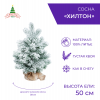 Ель ХИЛТОН заснеженная в мешочке 50 см