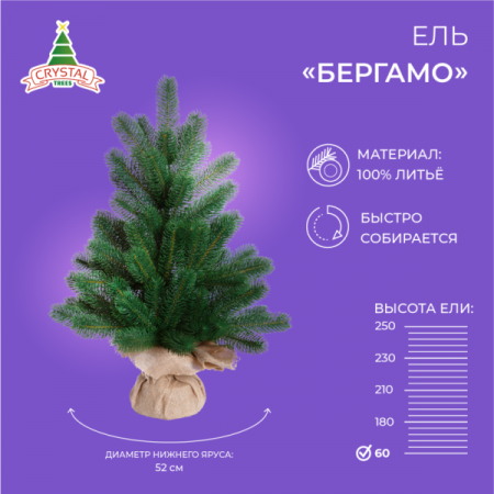 Ель БЕРГАМО