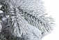 Ель МОЛЬВЕНО в снегу с вплетенной гирляндой 270 см.. Навигационное фото 4