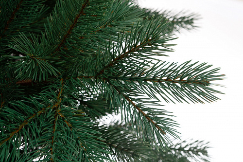 Сосна ХИЛТОН зелено-голубая 190 см.. Фото 2