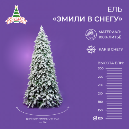 Ель ЭМИЛИ зеленая в снегу