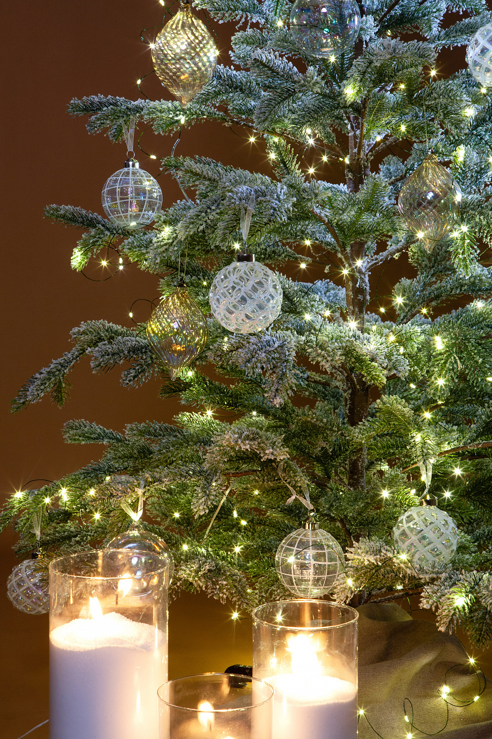 Ель БОЛЬЕРИ в снегу