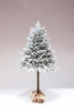 Ель Тайя Заснеженная на Ножке 150