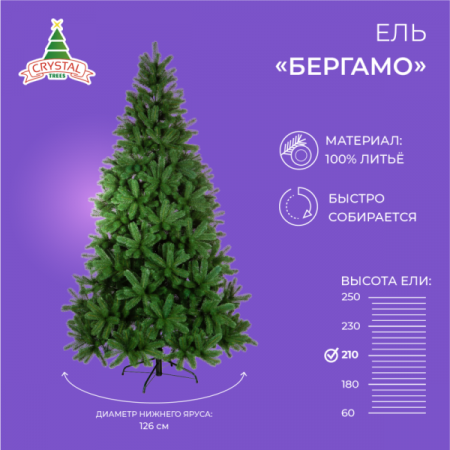 Ель БЕРГАМО