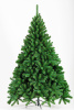 Ель ПИТЕРСКАЯ зеленая