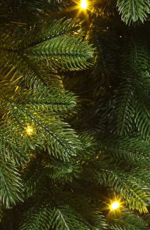 Ель Баварская с освещением