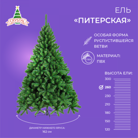 Ель ПИТЕРСКАЯ зеленая