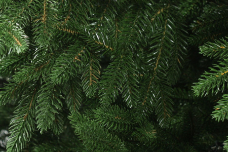 Ель Престиж