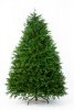 Ель УСАДЕБНАЯ 150 см