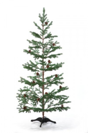 Ель БОРГО зеленая с шишками