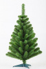Ель УРАЛЬСКАЯ стройная