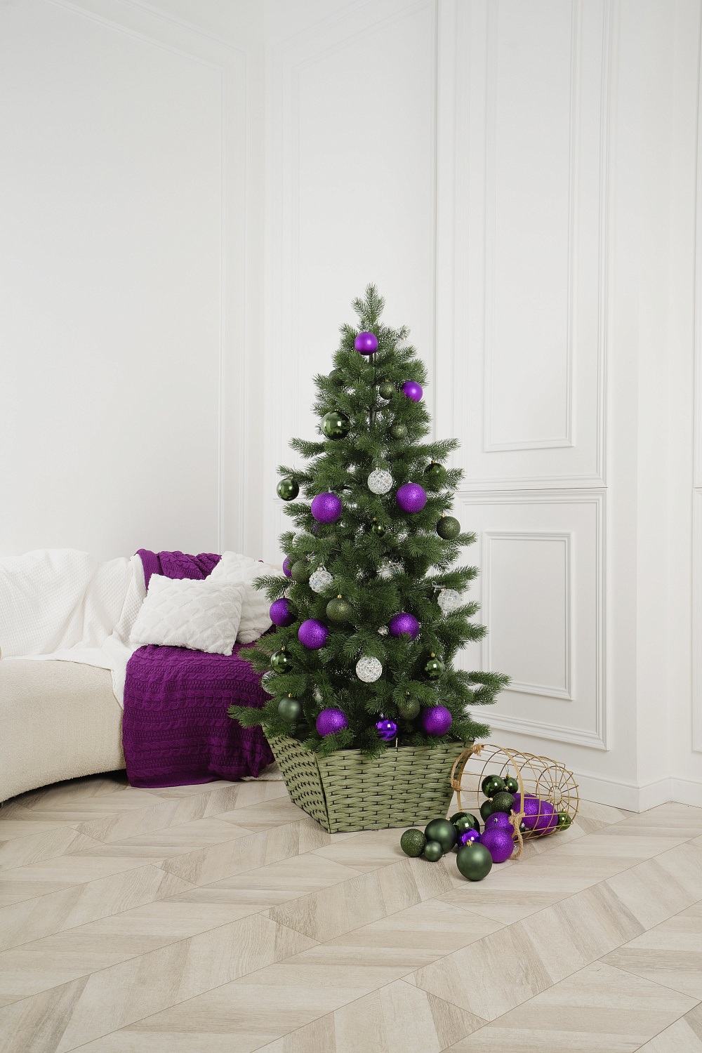 Ель ЗВЕЗДНАЯ