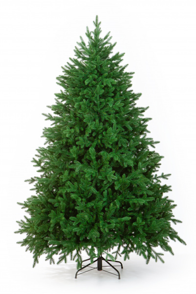 Ель САВОЙЯ 270 см.