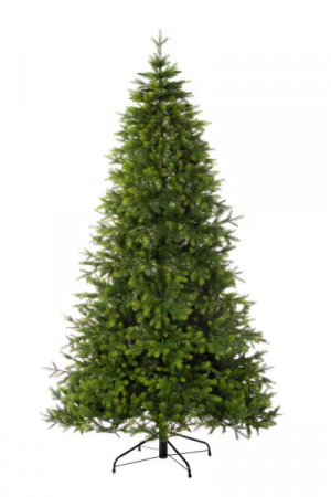 Ель КНЯЖЕСКАЯ зеленая