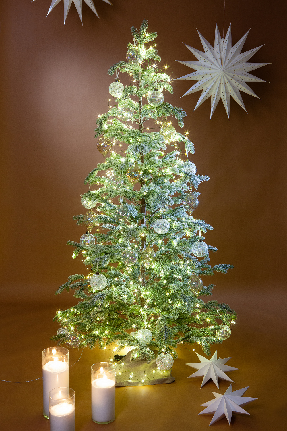 Ель БОЛЬЕРИ в снегу