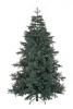 Сосна ХИЛТОН зелено-голубая 190 см.
