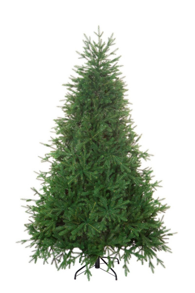 Ель БАЛКАНСКАЯ