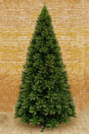 Ель "Принцесса" ствольная