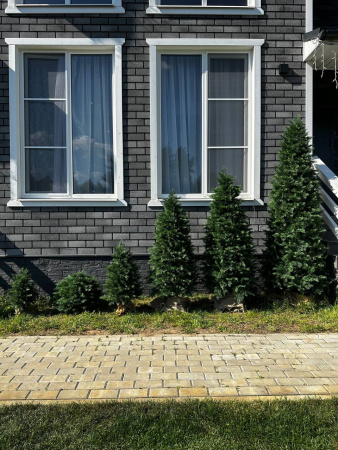 Искусственная Туя