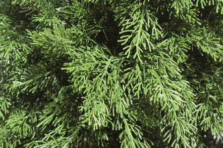 Искусственная Туя-шар