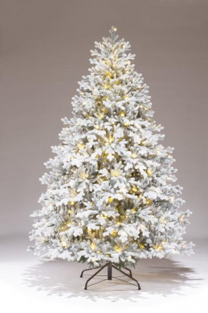 Ель Вега с освещением заснеженная