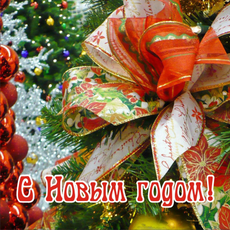 Ограждение для СТВОЛЬНОЙ ели