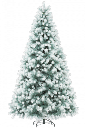 Сосна ШВЕЙЦАРСКАЯ снежная
