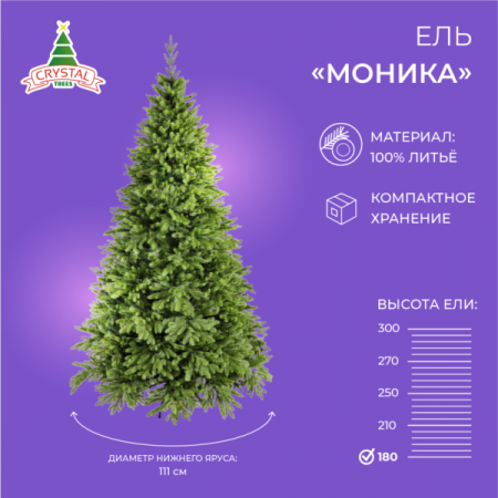 Ель МОНИКА