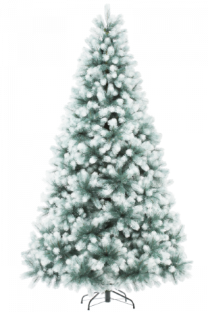 Сосна ШВЕЙЦАРСКАЯ снежная