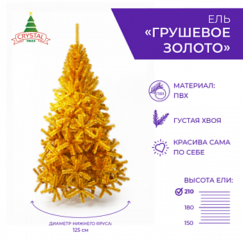 Ель ГРУШЕВОЕ ЗОЛОТО