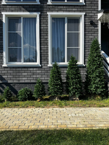 Искусственная Туя