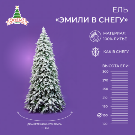 Ель ЭМИЛИ зеленая в снегу