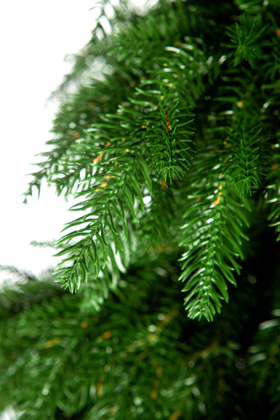 Ель ВЕРСАЛЬСКИЕ ОГНИ