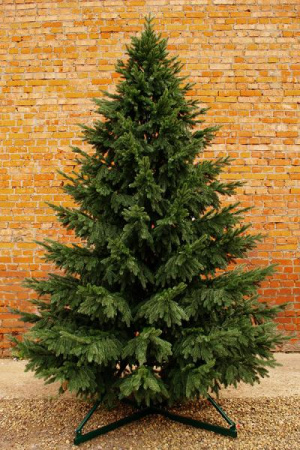 Ель "Сказочная" ствольная