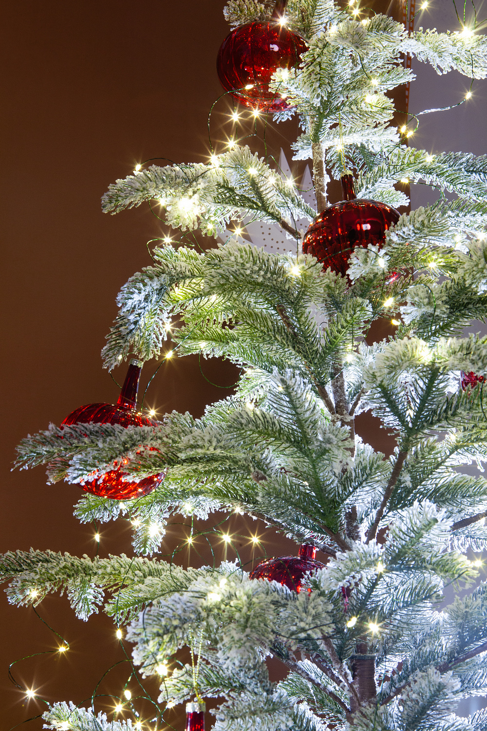 Ель БОЛЬЕРИ в снегу