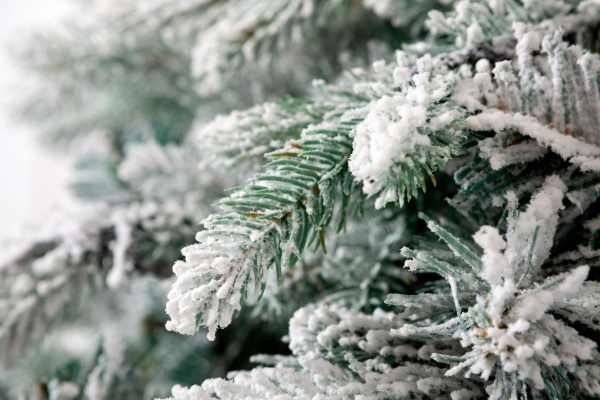 Ель НЕАПОЛЬ NEW в снегу с вплетенной гирляндой