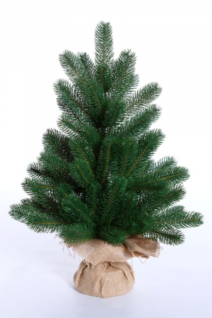 Ель БЕРГАМО