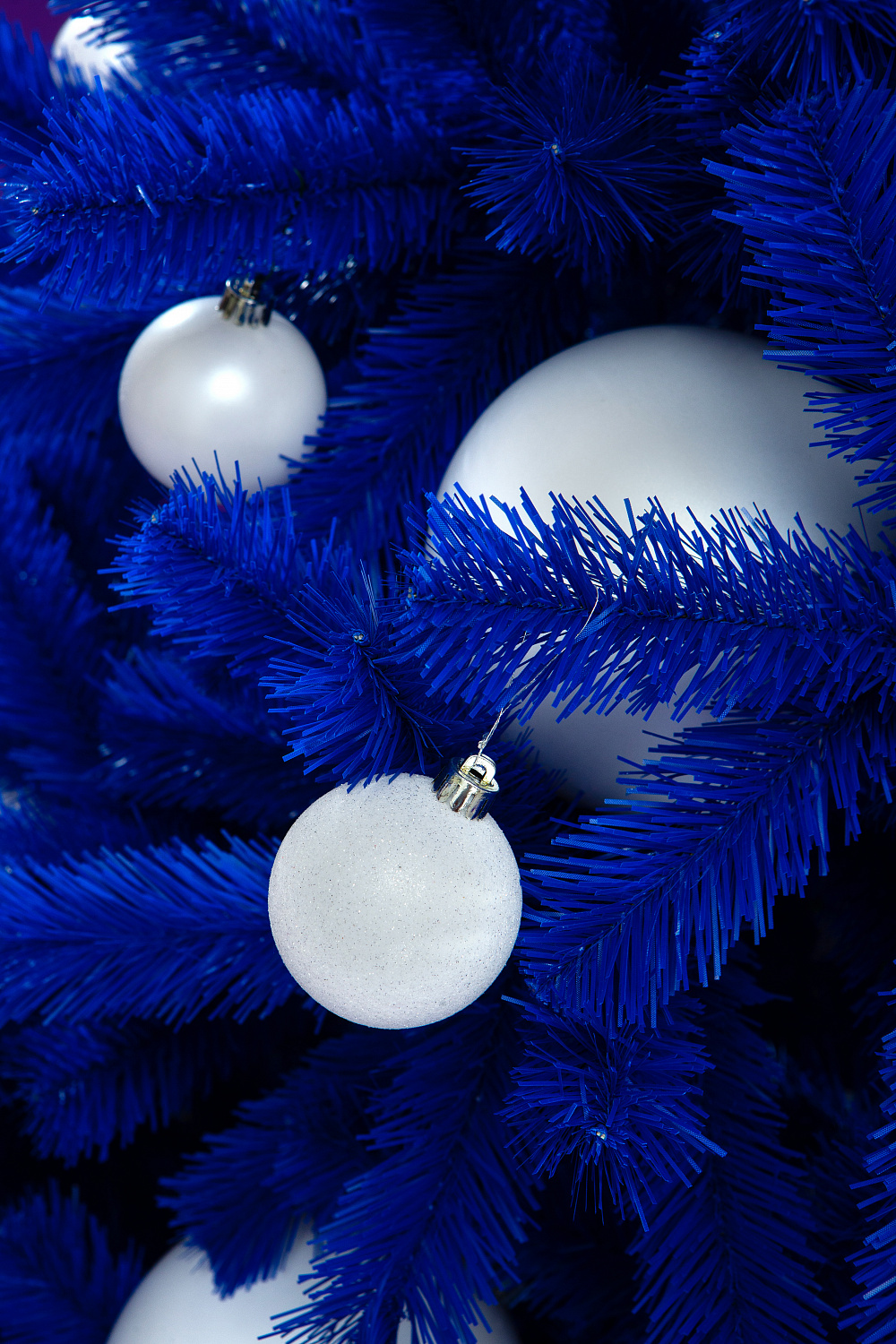 Ель УЛЬТРАМАРИН