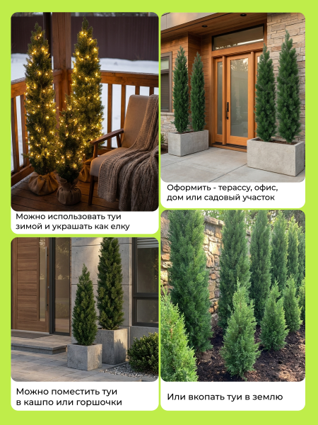 Искусственная ТУЯ узкая