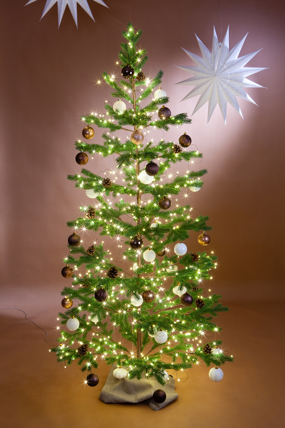 Ель БОРГО зеленая с шишками