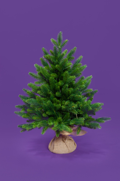 Ель ТРИУМФ с вплетенной гирляндой 60 см.