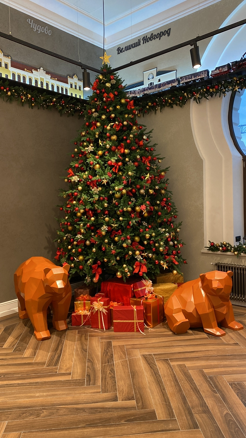 Ель ШОТЛАНДИЯ интерьерная