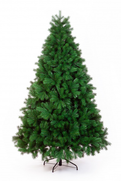 Сосна ВИРДЖИНИЯ 300 см.