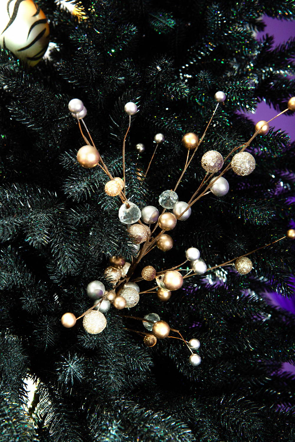 Ель ЗВЕЗДНАЯ РОССЫПЬ