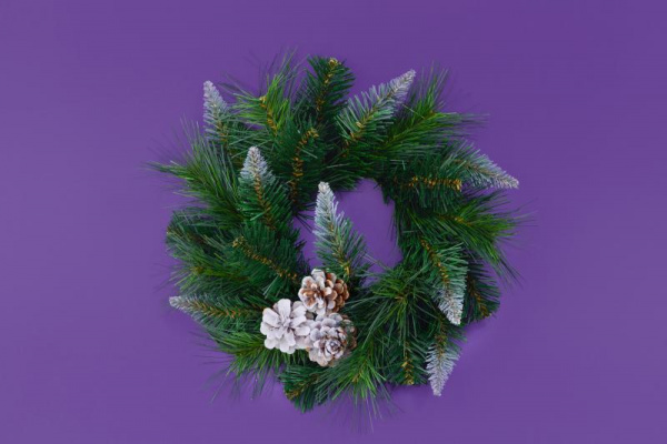 Венок АРИЯ с шишками D30