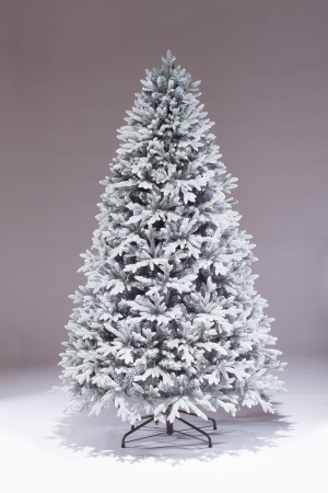 Ель Никка заснеженная