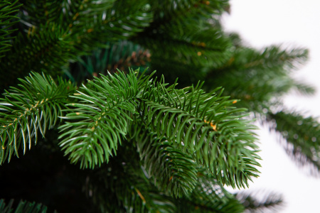 Ель БЕРМИНГЕМ