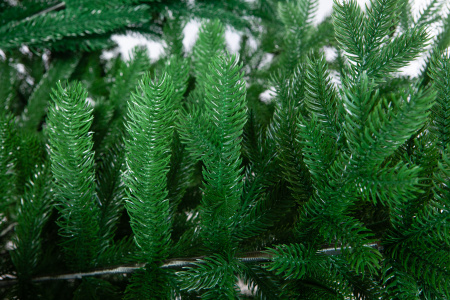 Ель ствольная Валенсия Интерьерная хвоя-ре (100% литье) зеленая