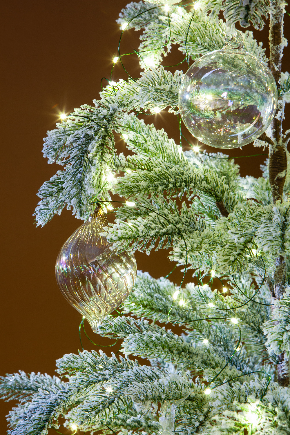 Ель БОЛЬЕРИ в снегу