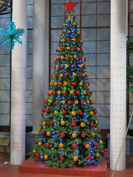 Сосна ствольная  хвоя-леска "Люкс"